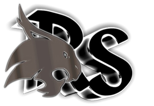 Внимание!!! Брифинг!!!